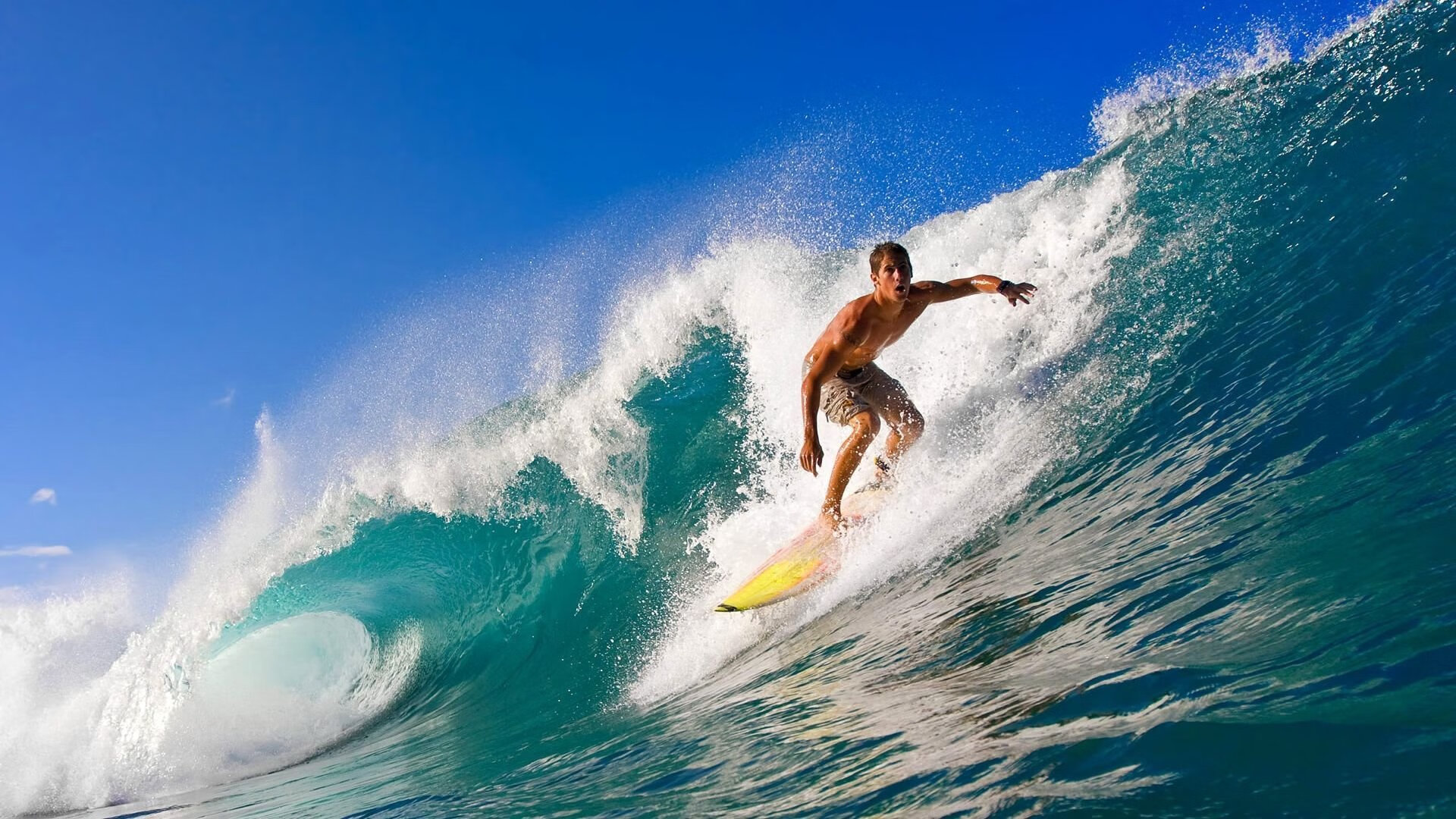 mk体育官网-维尔·冯·威克：凭借出色的配合与单打能力，南非队进攻攻势如潮